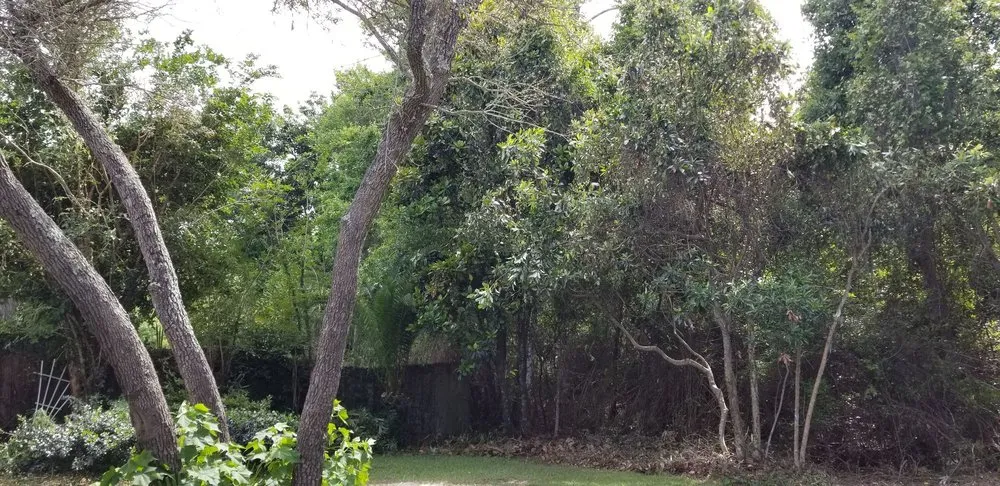 Local residential landscaping experts serving Navarre, FL - Beasley Contractors