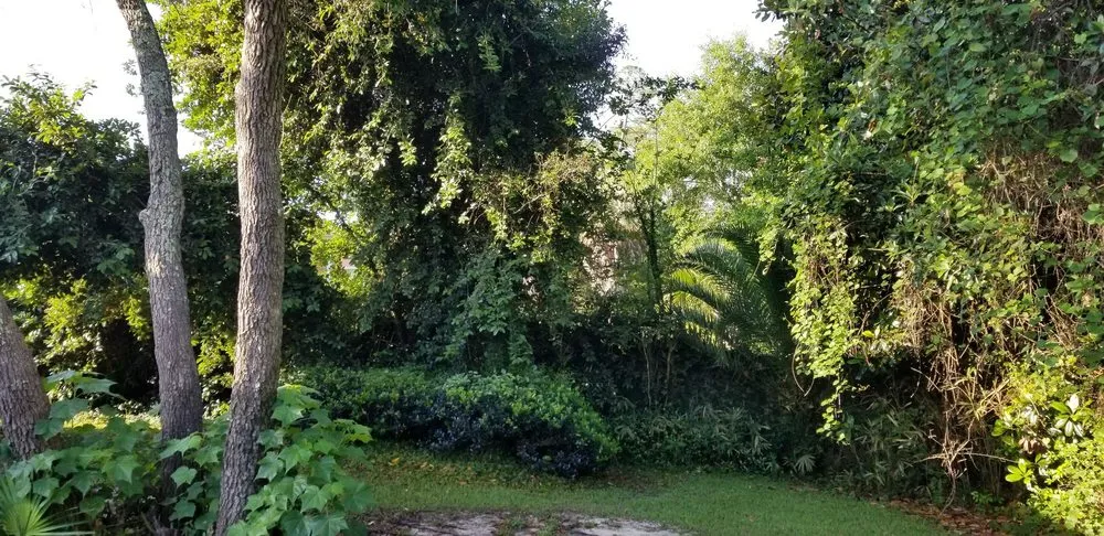 Affordable landscaping services experts serving Navarre, FL - Beasley Contractors