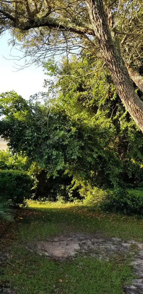 Affordable landscape installation in Navarre, FL by Beasley Contractors