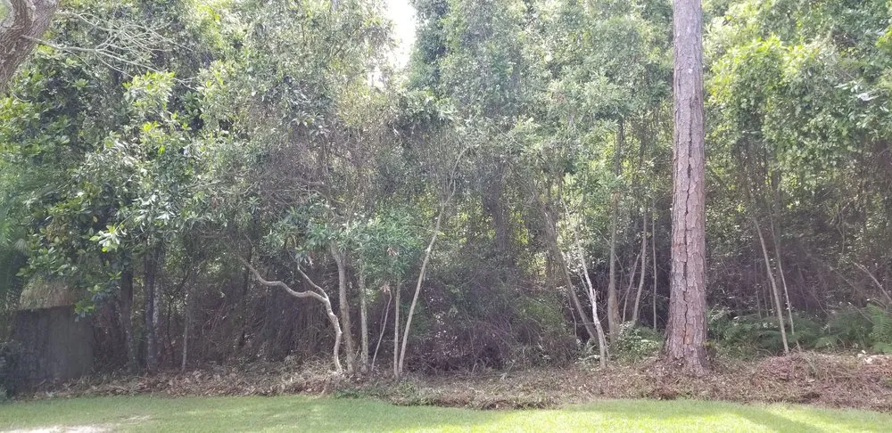 Reliable yard maintenance experts serving Navarre, FL - Beasley Contractors