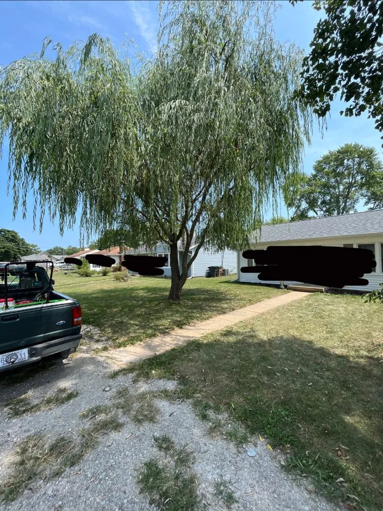 Trusted yard cleanup service experts serving Columbus, IN - Beasley Landscapes