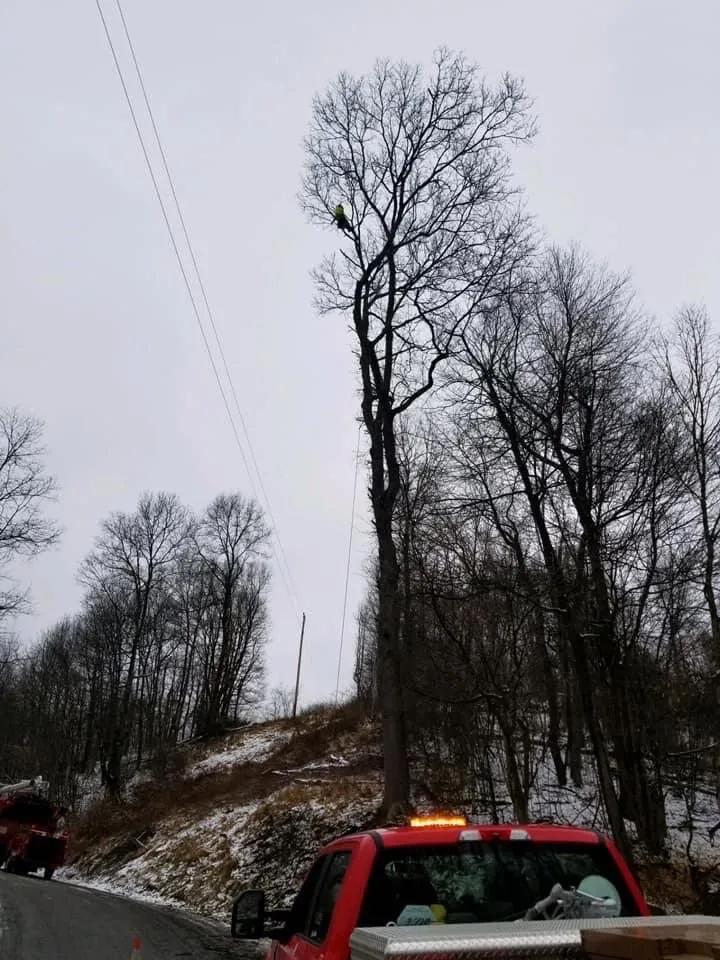 Trusted garden landscaping for beautiful yards in DuBois, PA by Beast Construction