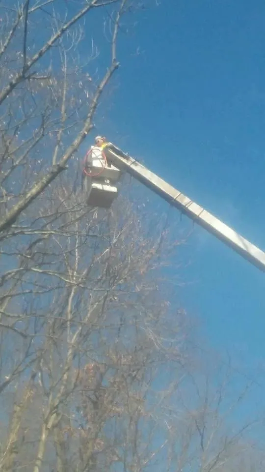 Custom yard cleanup service experts serving DuBois, PA - Beast Construction