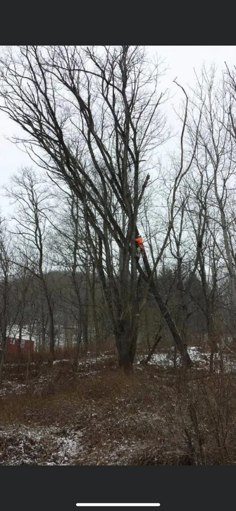 Affordable residential landscaping in DuBois, PA - Beast Construction