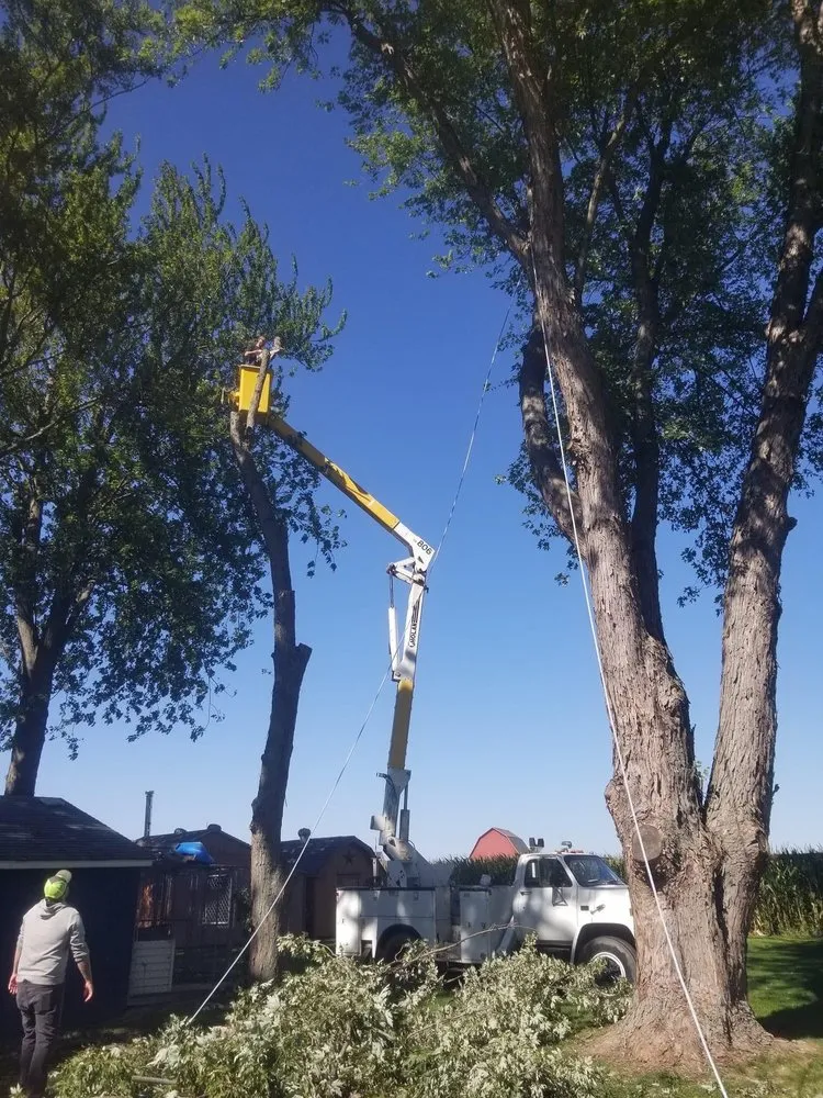 Top-rated landscaping services for outdoor upgrades in DuBois, PA by Beast Construction