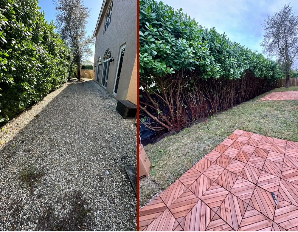 Local lawn care service in Hollywood, FL by Beast Junk Removal