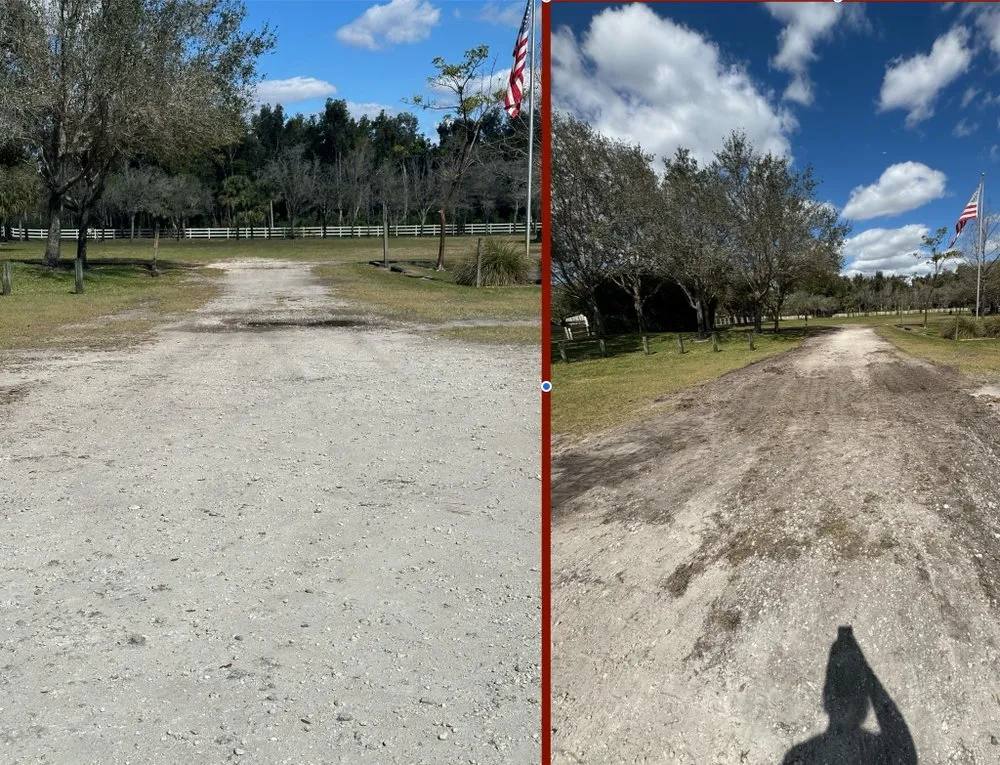 Affordable garden landscaping for homes in Hollywood, FL by Beast Junk Removal