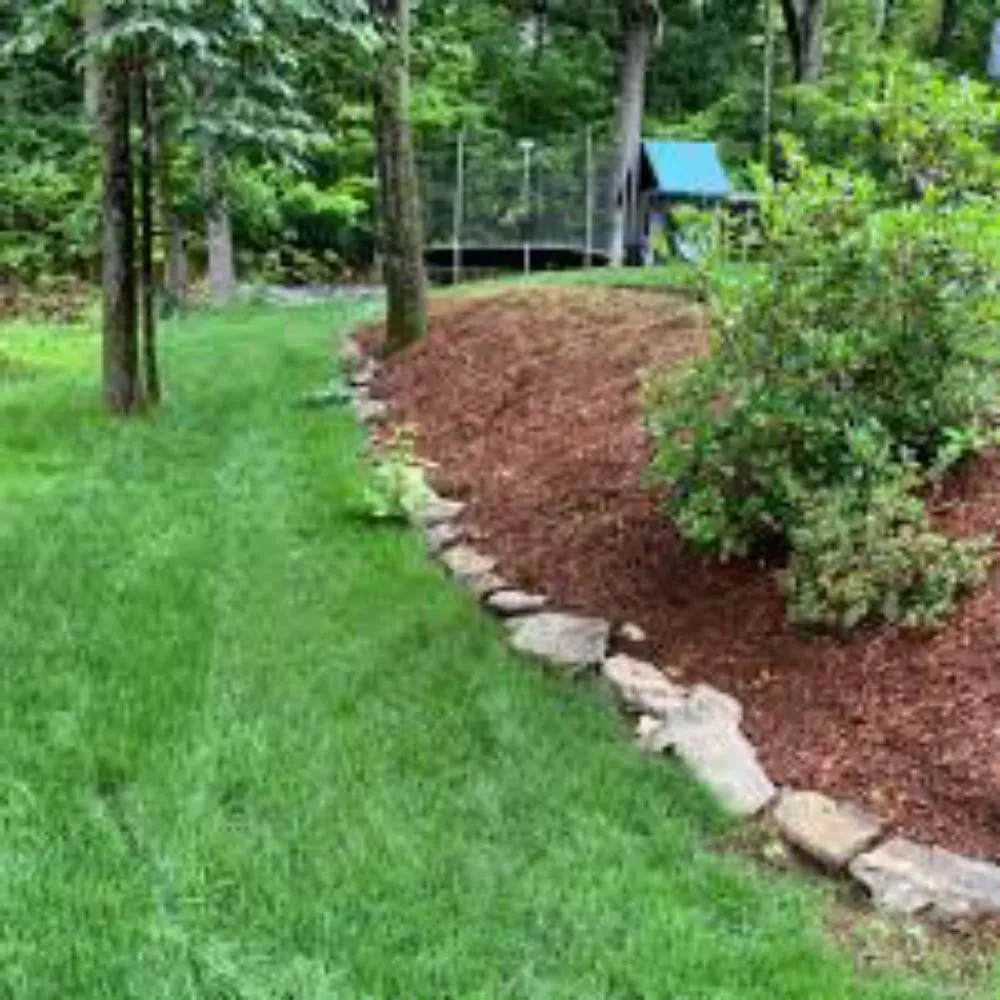 Reliable lawn care service for homes across Sulphur Springs, TX - Beast Lawn And Landscape