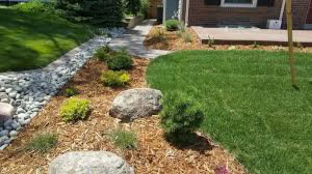 Reliable yard maintenance for residential properties in Sulphur Springs, TX by Beast Lawn And Landscape