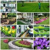 Affordable landscaping services for homes across Anna, TX - Beast Mode