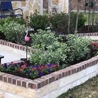 Top-rated yard maintenance experts serving Anna, TX - Beast Mode