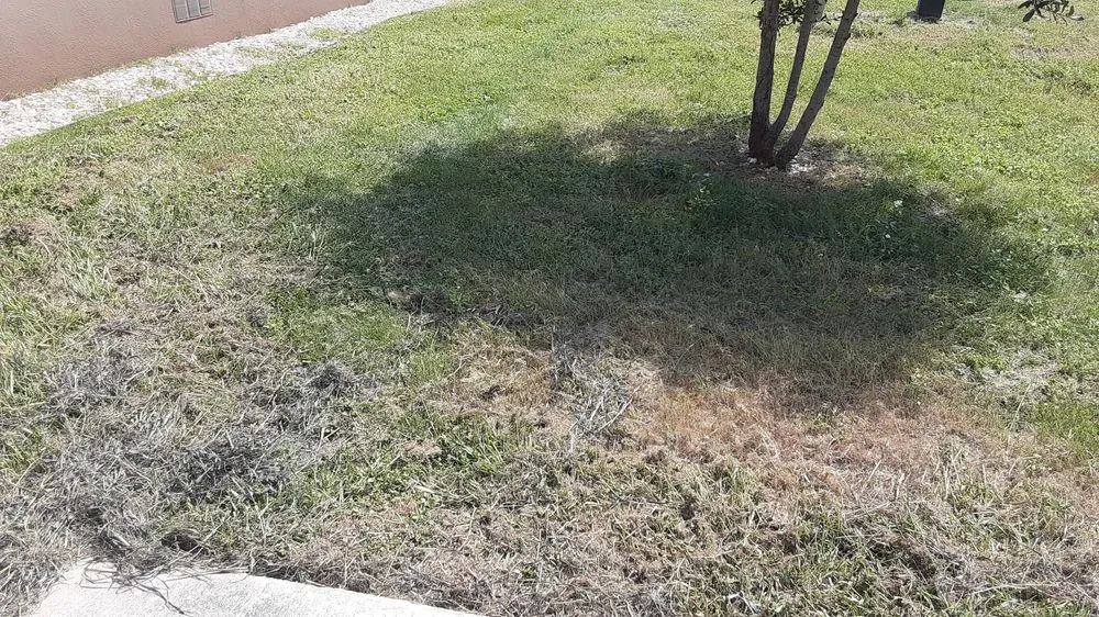 Expert lawn mowing service in Anna, TX - Beast Mode