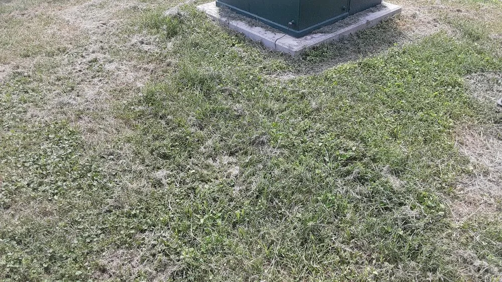 Trusted lawn mowing service experts serving Anna, TX - Beast Mode