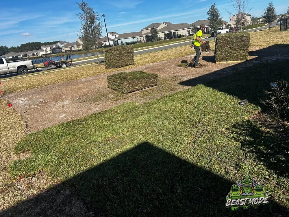 Top-rated outdoor landscaping for year-round maintenance in Jacksonville, FL by Beast Mode Lawn Care