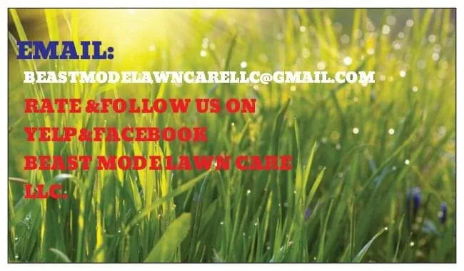 Professional garden landscaping for beautiful yards in Jacksonville, FL by Beast Mode Lawn Care