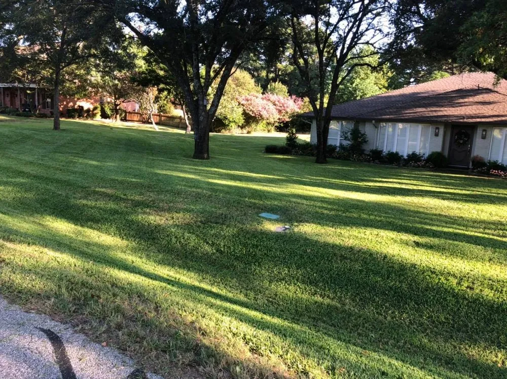 Reliable lawn care service experts serving Krum, TX - Beast Mowed DFW