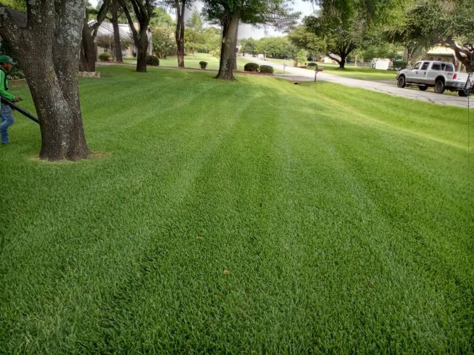 Trusted landscape installation in Krum, TX - Beast Mowed DFW