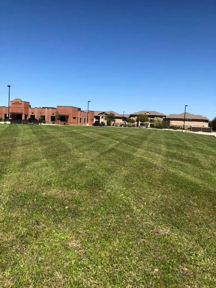 Professional outdoor landscaping in Krum, TX by Beast Mowed DFW