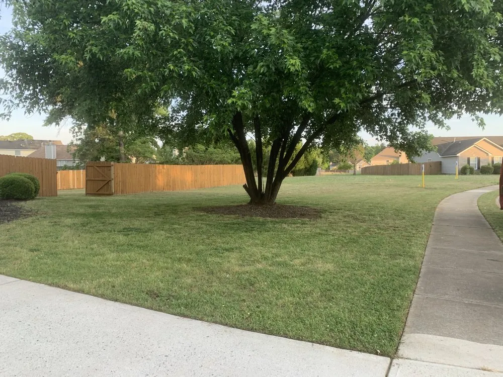 Affordable lawn mowing service for year-round maintenance in Hampton, GA by Beast Mowed Lawn Care