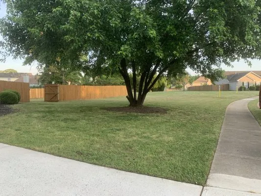 Beast Mowed Lawn Care Logo