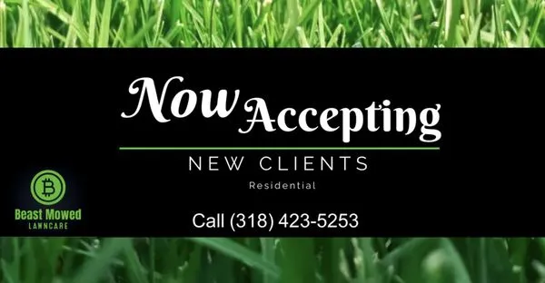 Beast Mowed Lawn Care Logo