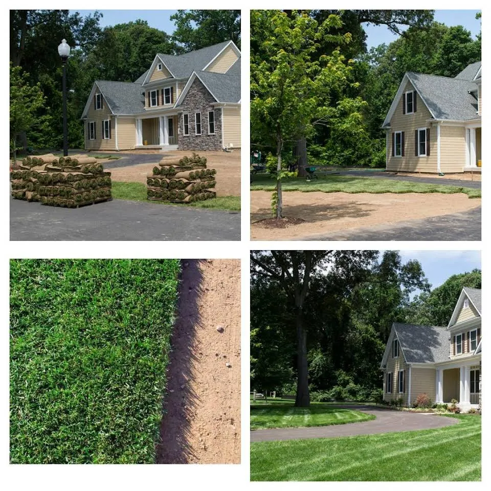 Top-rated lawn care service in Akron, OH by Beast Mowed Lawncare