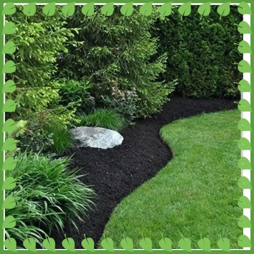 Trusted yard maintenance experts serving Akron, OH - Beast Mowed Lawncare