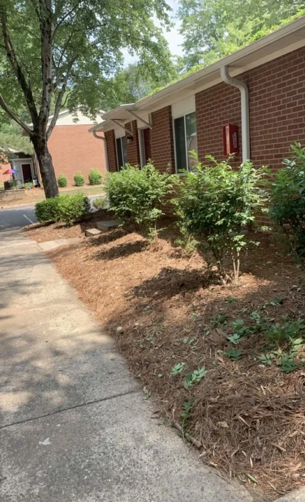 Custom landscaping services experts serving Dunn, NC - Beast Mowed Lawncare