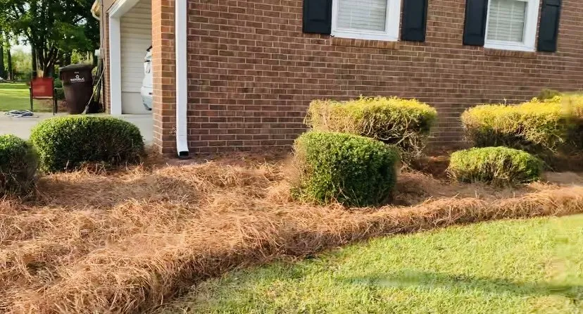 Trusted yard cleanup service in Dunn, NC by Beast Mowed Lawncare