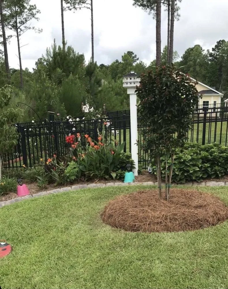 Local landscape design in Dunn, NC by Beast Mowed Lawncare