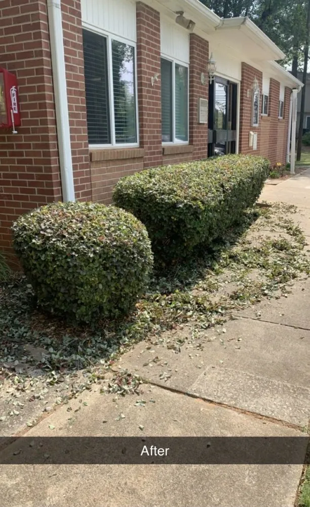 Reliable lawn mowing service with custom design across Dunn, NC - Beast Mowed Lawncare