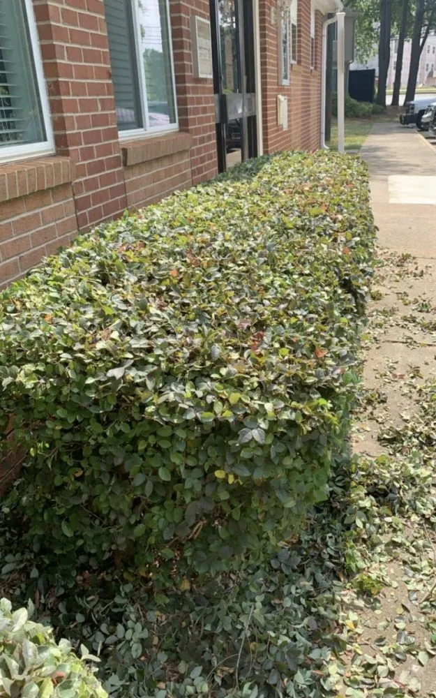 Local landscaping services in Dunn, NC - Beast Mowed Lawncare