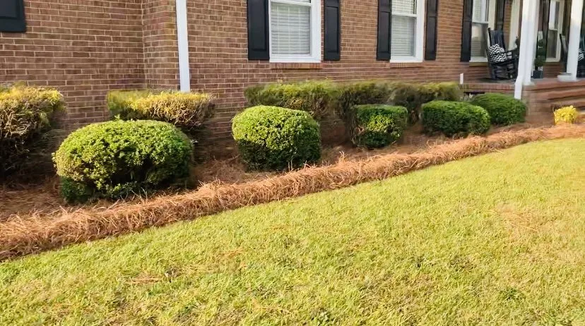 Affordable landscape installation experts serving Dunn, NC - Beast Mowed Lawncare