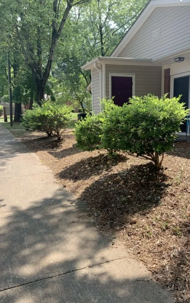 Professional yard cleanup service in Dunn, NC by Beast Mowed Lawncare