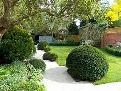 Affordable residential landscaping for beautiful yards in Dunn, NC by Beast Mowed Lawncare
