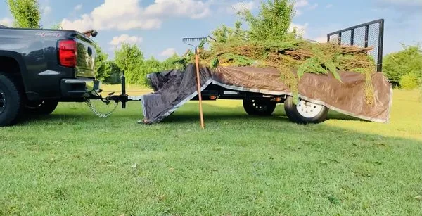 Beast Mowed Lawncare Logo