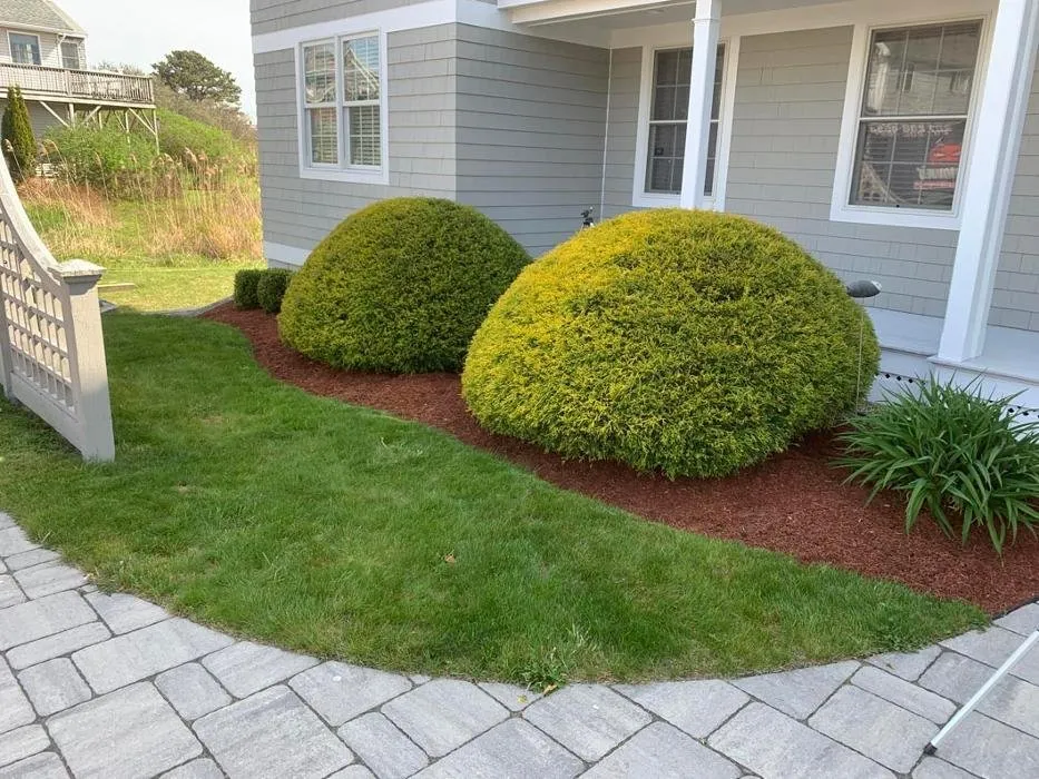 Custom lawn care service for year-round maintenance in Wells, ME by Beast Mowed Lawncare