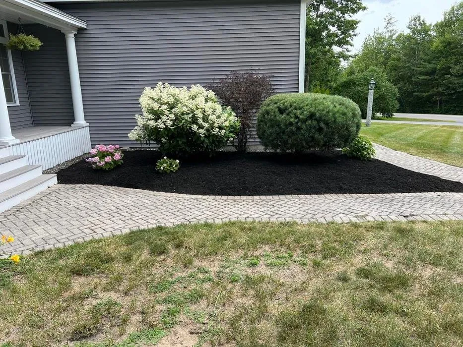 Affordable landscape installation for homes across Wells, ME - Beast Mowed Lawncare