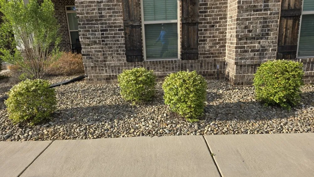 Top-rated yard maintenance in Kathleen, GA by Beast Mowed WR