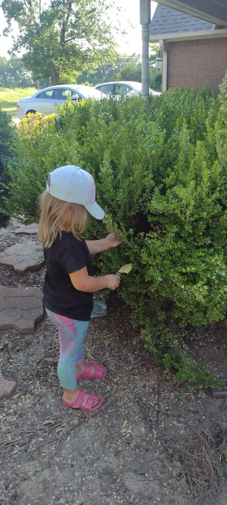 Custom yard maintenance in Blytheville, AR by Beast Mowers