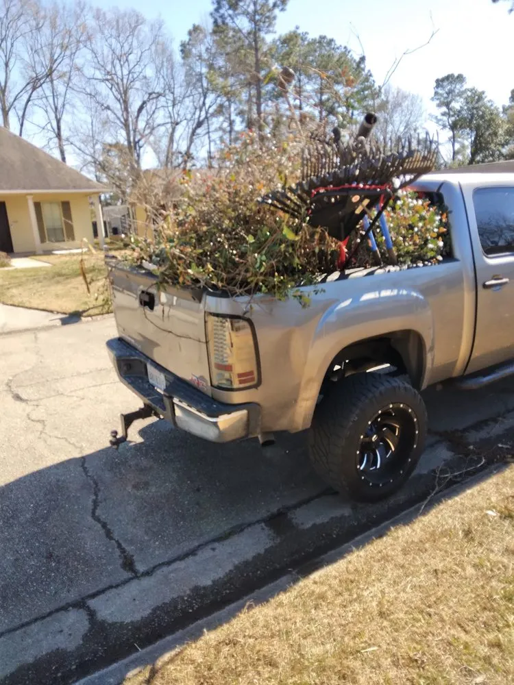 Top-rated residential landscaping experts serving Denham Springs, LA - Beast Mowers