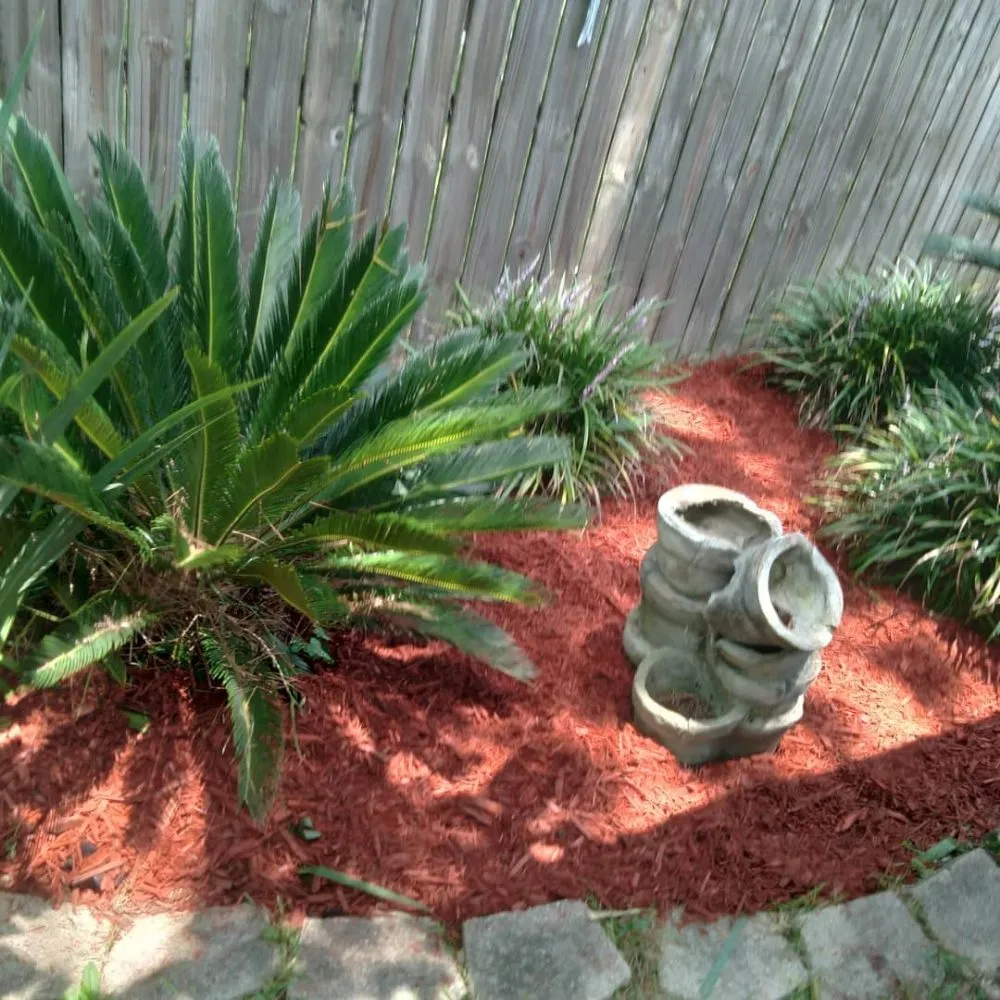 Reliable lawn mowing service in Denham Springs, LA by Beast Mowers