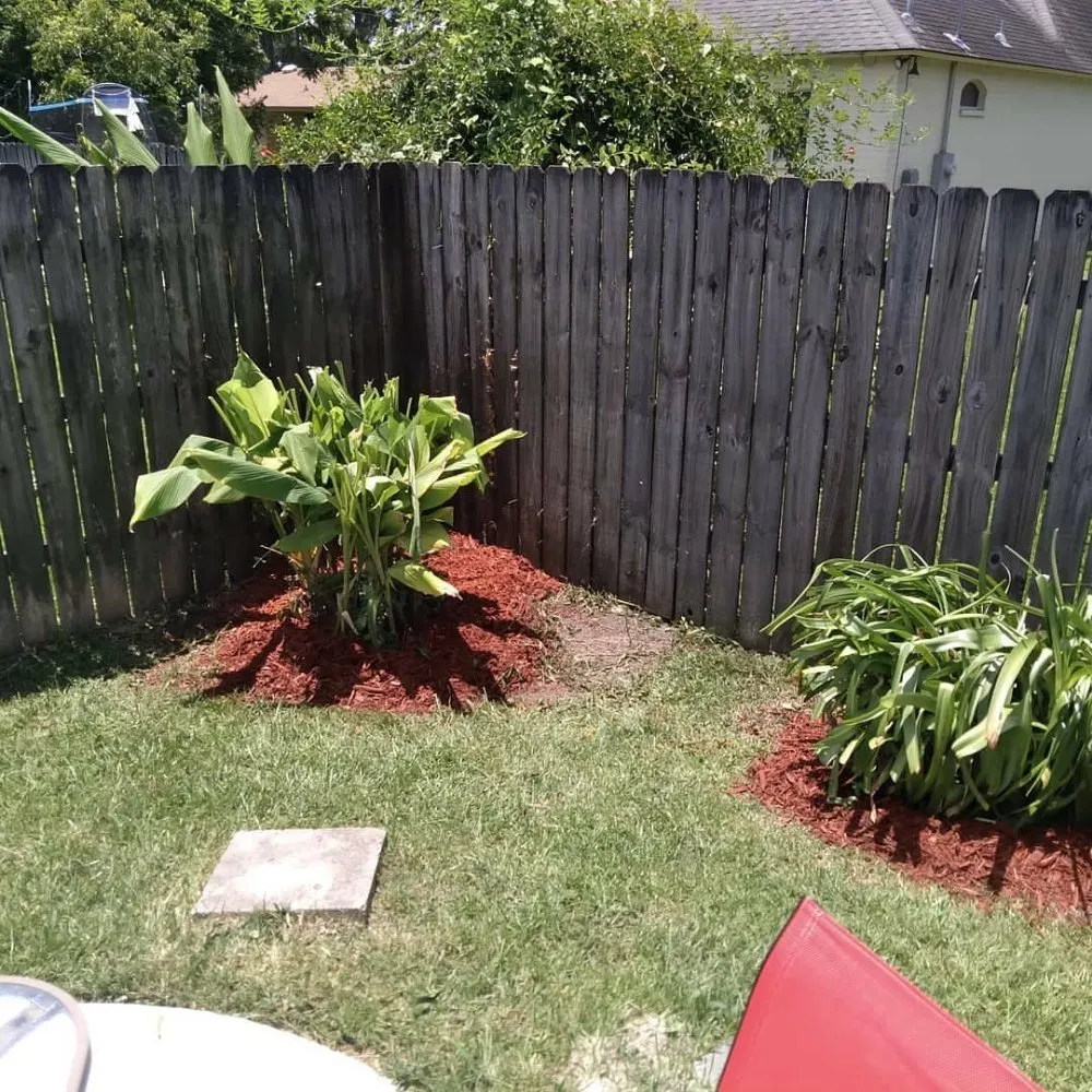 Top-rated yard cleanup service in Denham Springs, LA by Beast Mowers