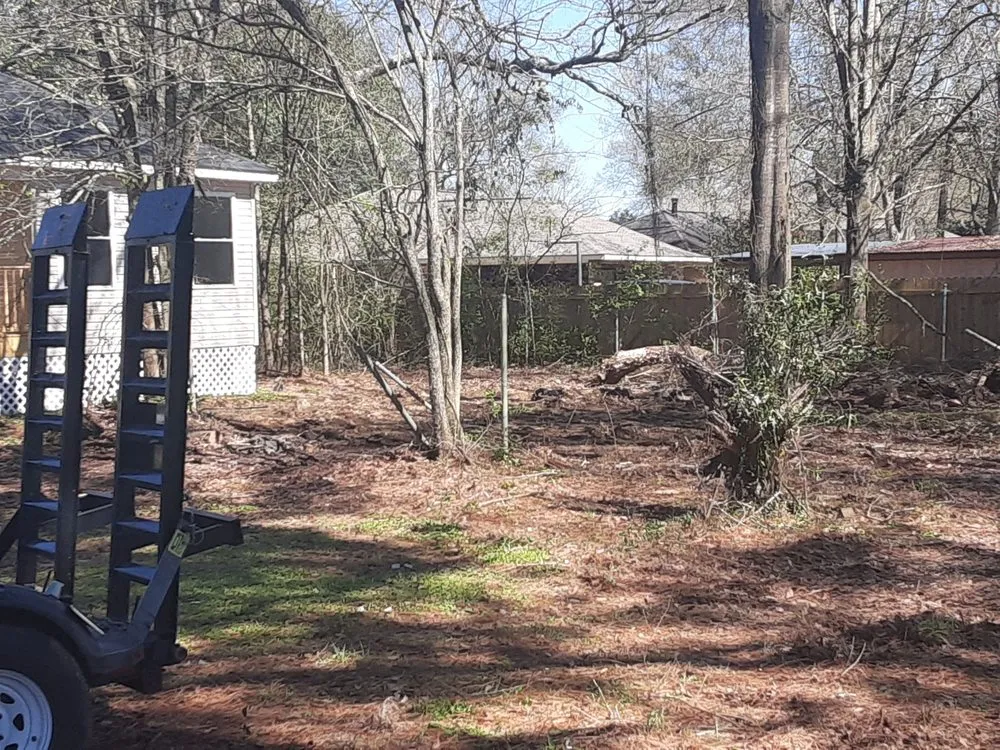 Trusted landscape installation for outdoor upgrades in Denham Springs, LA by Beast Mowers