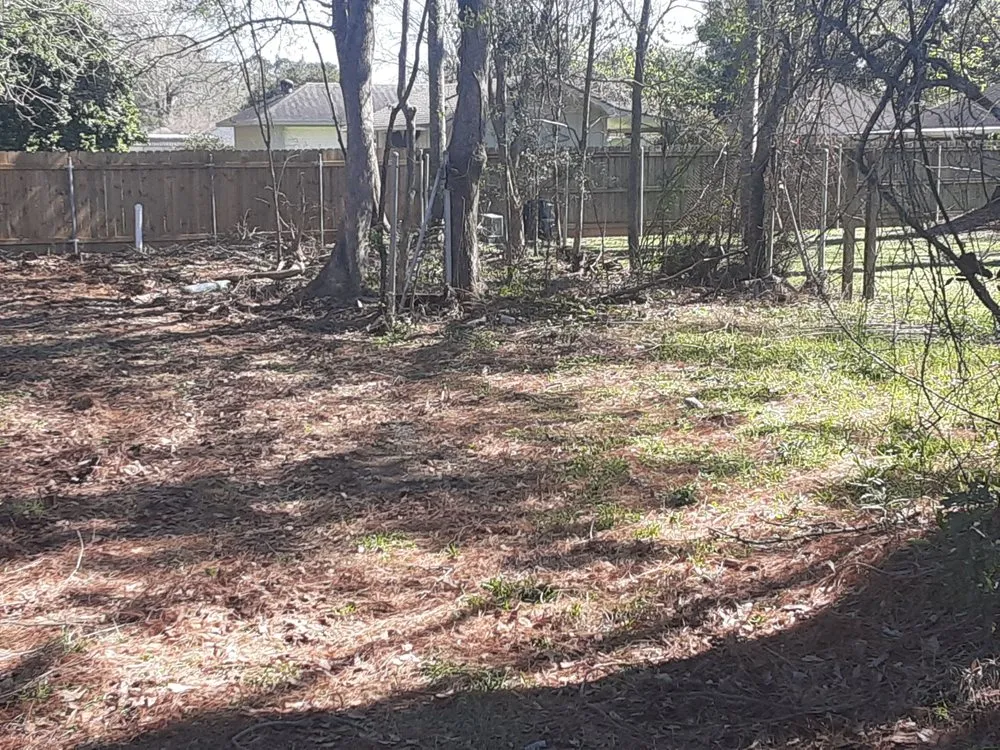 Custom landscape design experts serving Denham Springs, LA - Beast Mowers