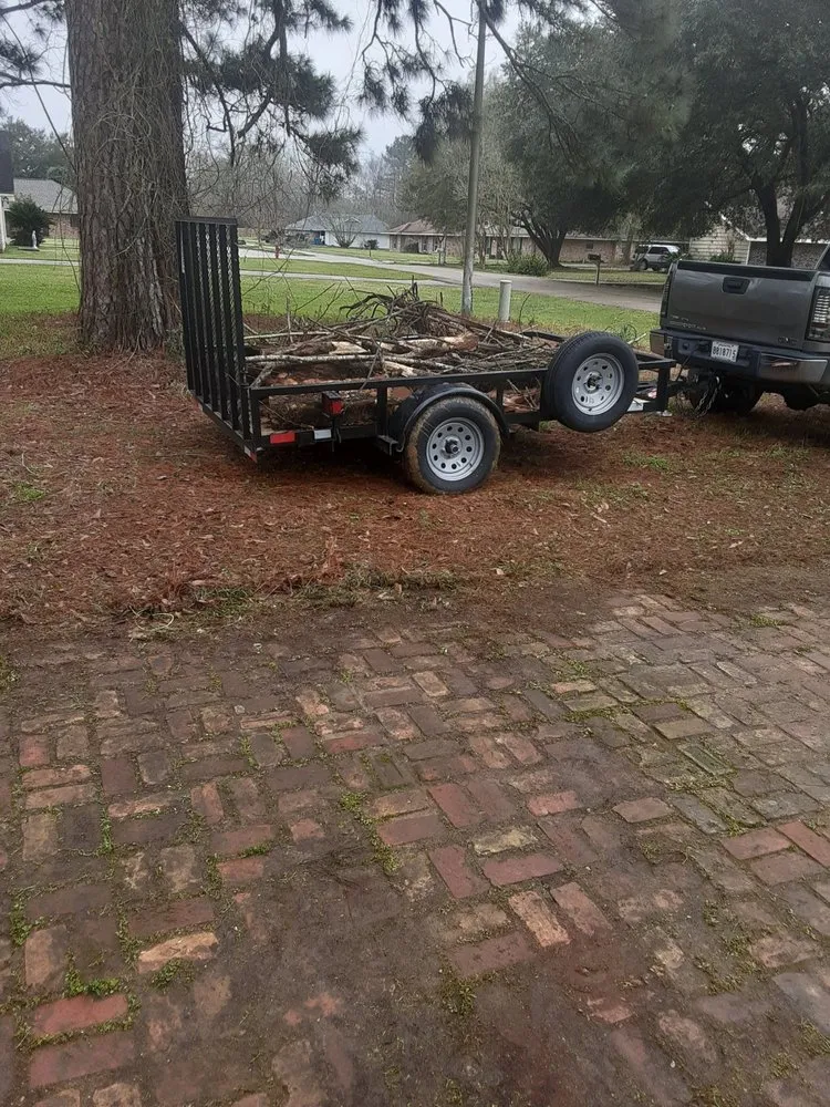 Professional lawn mowing service for year-round maintenance in Denham Springs, LA by Beast Mowers