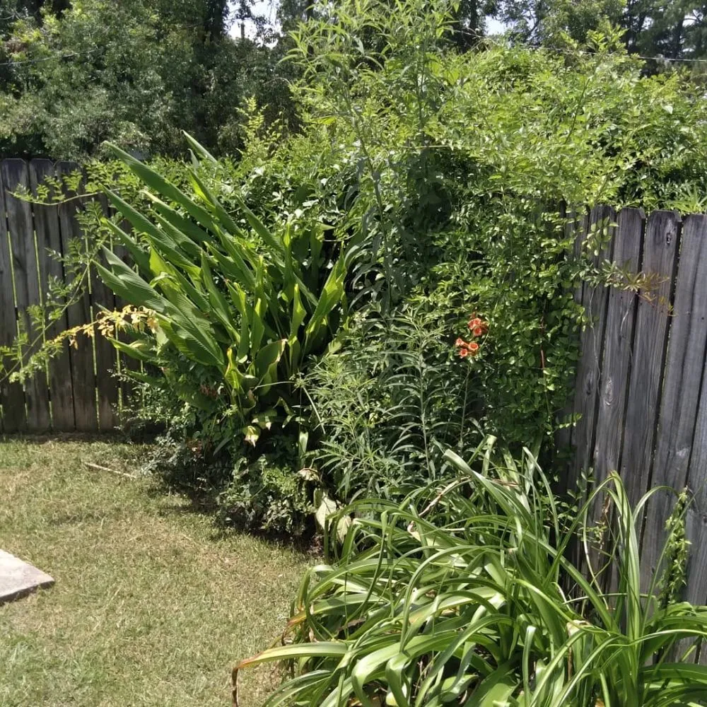 Trusted landscape installation for residential properties in Denham Springs, LA by Beast Mowers