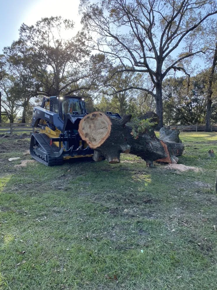 Affordable lawn care service in Wilmer, AL by Beast of Burden Construction
