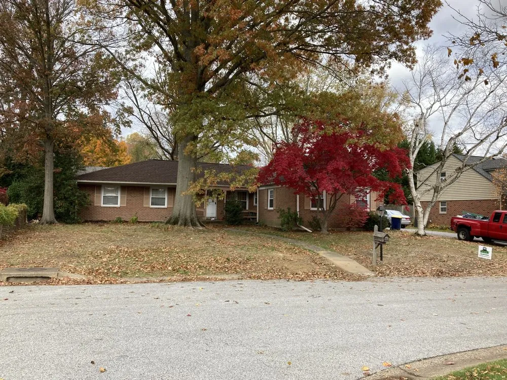 Top-rated lawn mowing service experts serving Wilmington, DE - Beast Stump Grinding Shrub removal Rototilling