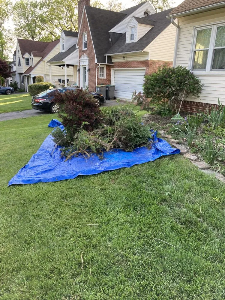 Professional lawn mowing service for homes across Wilmington, DE - Beast Stump Grinding Shrub removal Rototilling